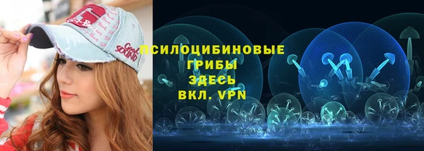 дмт Лиски