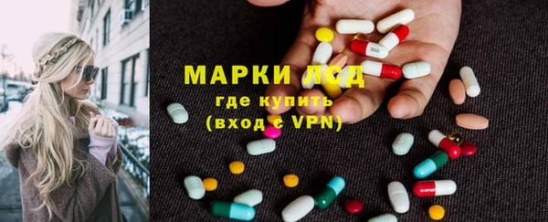 spice Лагань