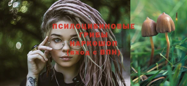 spice Лагань